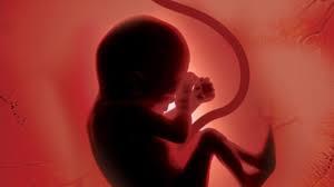 دانلود پاورپوینت با موضوع سقط جنين قانوني