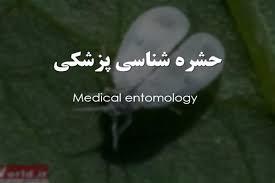 دانلود پاورپوینت مربوط به حشره شناسی پزشکی (Medical Entomology)