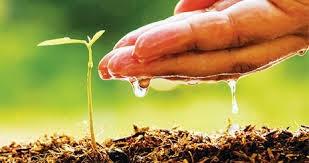 دانلود پاورپوینت با موضوع تغییرات آب و هوایی وکارایی کشاورزی متشکل از سیستم های کشاورزی