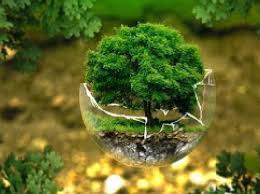 پاورپوینت جامع و کامل آشنایی با اثرات زیست محیطی طرح  های آب و خاک و توسعه پایدارمحیط زیست