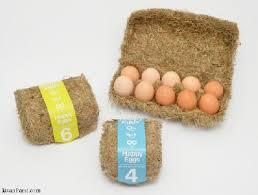 طرح توجیهی و کارآفرینی احداث کارخانه بسته بندی و توزیع تخم مرغ